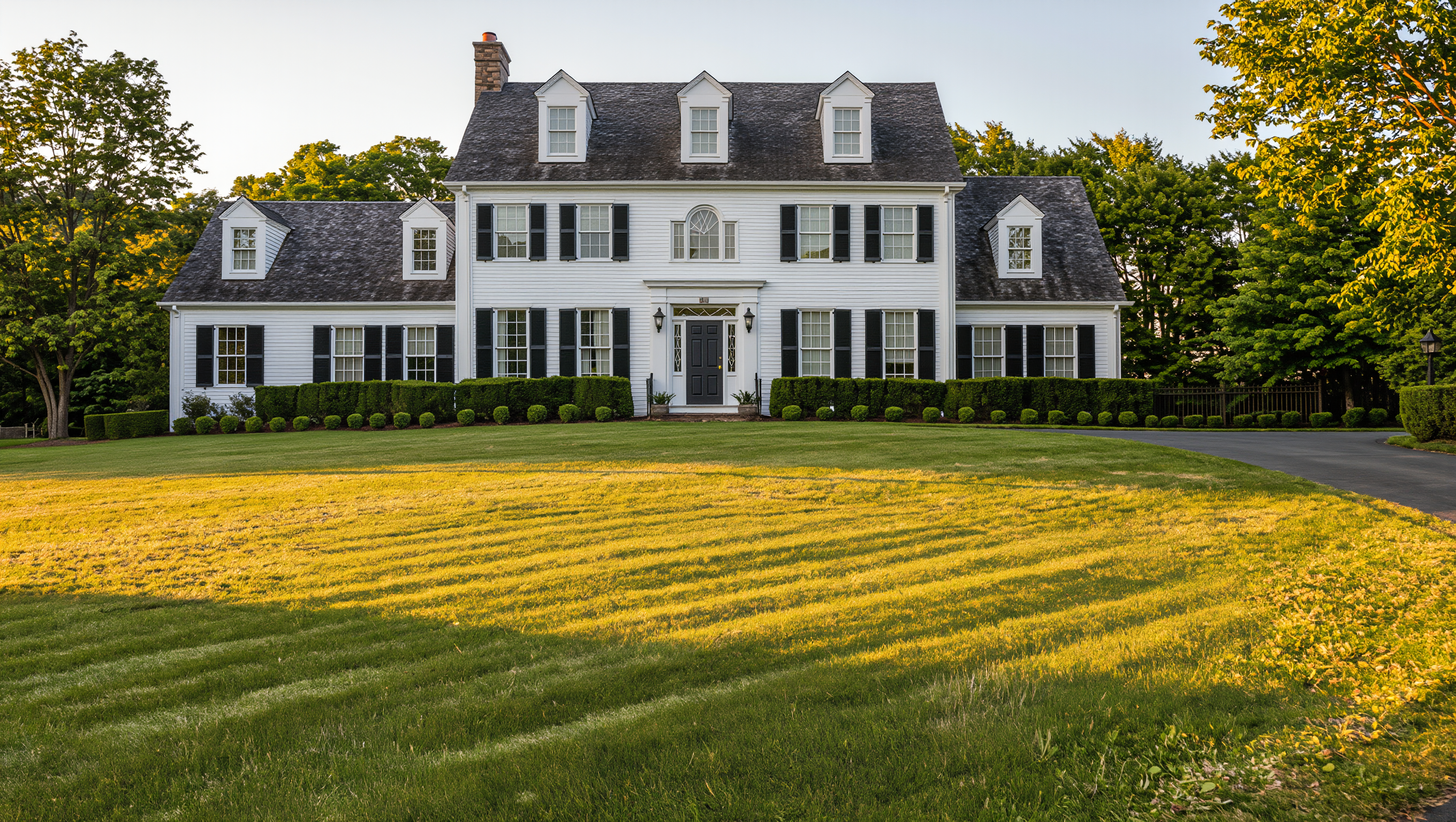Front lawn restored to dense green grass after aeration and overseeding